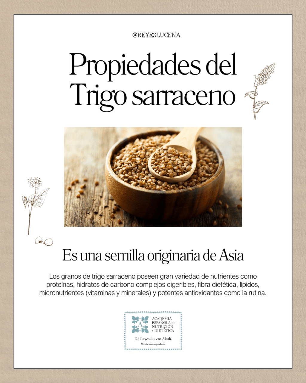 Propiedades del Trigo sarraceno o&nbsp;alforfón